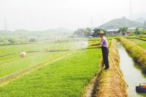 沃爾瑪在塘廈建立東莞首個(gè)農(nóng)超對(duì)接基地，新鮮蔬菜直供零售